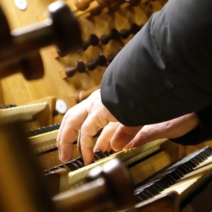 Domorganist Wolfgang Kreuzhuber an der Rudigierorgel