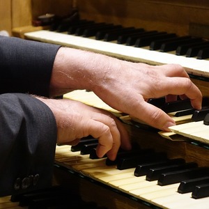 Domorganist Wolfgang Kreuzhuber an der Rudigierorgel