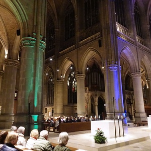 ORGEL.SOMMER-Publikum im Mariendom Linz