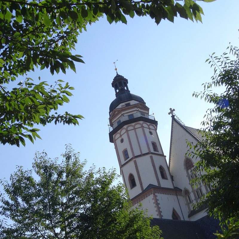 ORGEL.LITURGIE im Mariendom Linz: Ein Krebs im Kittel!