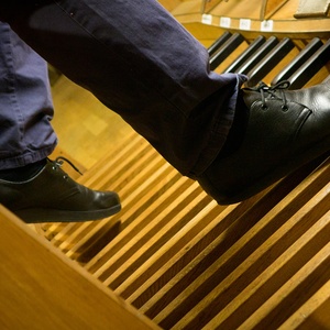 Domorganist Wolfgang Kreuzhuber an der Rudigierorgel