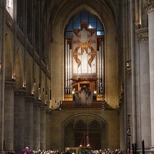 Blick auf die Rudigierorgel