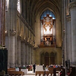 Rudigierorgel
