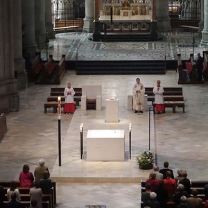 ORGEL.LITURGIE im Mariendom Linz: Ein Krebs im Kittel!