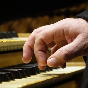 Domorganist Wolfgang Kreuzhuber an der Rudigierorgel
