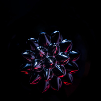 domorgelsommerlinz24 an der Rudigierorgel: KALEIDOSKOP mit Alma Teibler