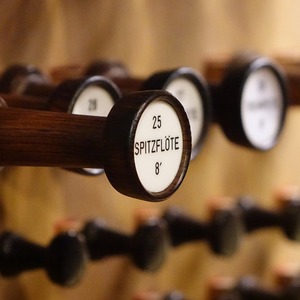 Register der Rudigierorgel im Linzer Mariendom