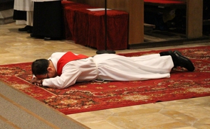 Priesterweihe von P. Gregor Nguyen im Linzer Mariendom