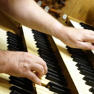Domorganist Wolfgang Kreuzhuber an der Rudigierorgel