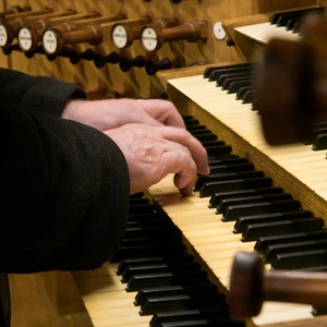 Domorganist Wolfgang Kreuzhuber an der Rudigierorgel