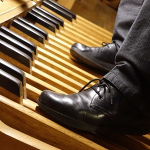 Domorganist Wolfgang Kreuzhuber an der Rudigierorgel