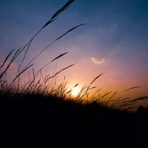 SOMMERWIND! mit Dommusikassistent Gerhard Raab