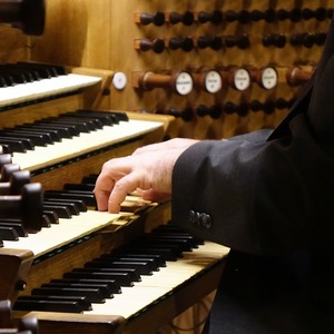 Domorganist Wolfgang Kreuzhuber an der Rudigierorgel