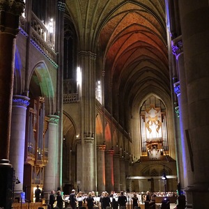 Blick in den Mariendom Linz