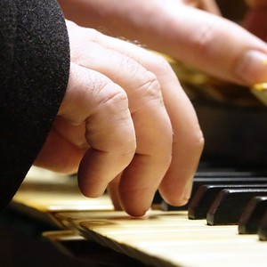 Domorganist Wolfgang Kreuzhuber an der Rudigierorgel