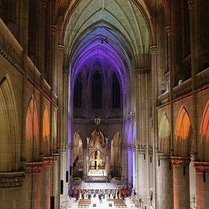 Blick in den Mariendom Linz