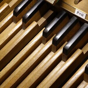 Domorganist Wolfgang Kreuzhuber an der Rudigierorgel