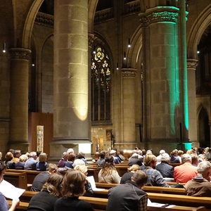 ORGEL.SOMMER-Publikum im Mariendom Linz