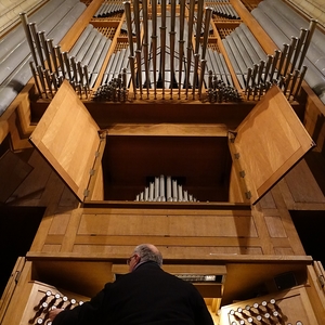 Domorganist Wolfgang Kreuzhuber an der Rudigierorgel