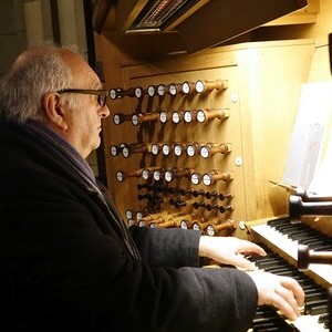 Domorganist Wolfgang Kreuzhuber an der Rudigierorgel