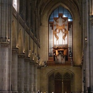 Rudigierorgel