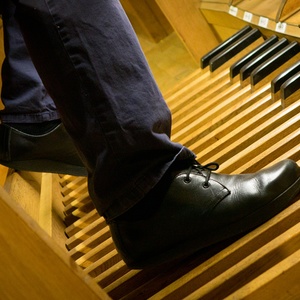 Domorganist Wolfgang Kreuzhuber an der Rudigierorgel