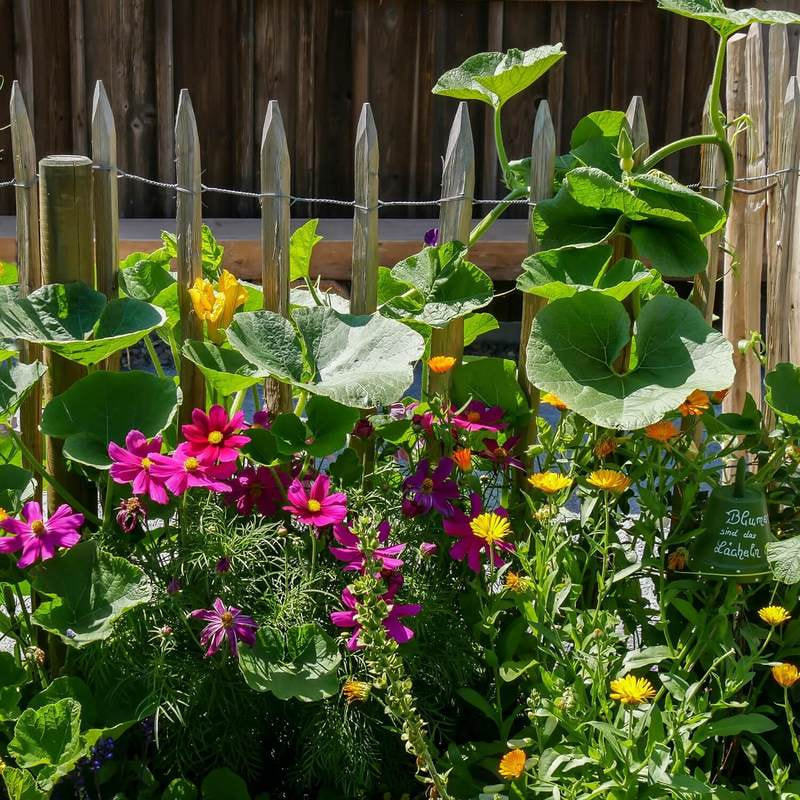 Garten mit Blumen