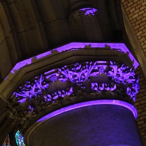 Buntes FARBENSPIEL im Mariendom Linz