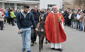 Palmsonntag in Linz-St. Peter mit Eselchen