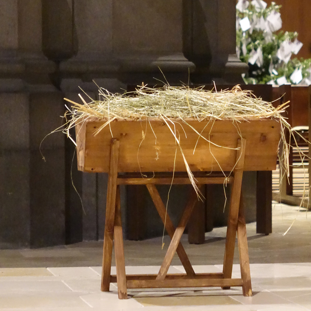 TÖNE & WORTE – so klingt der dritte Advent: Freue Dich, Christkind kommt bald