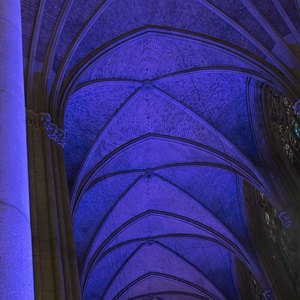 Mariendom Linz in blaues Licht gehüllt