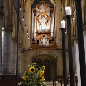 Die sommerlich gestimmte Rudigierorgel in freudiger Konzerterwartung