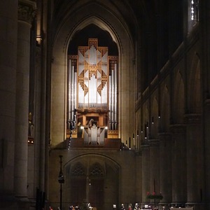 Rudigierorgel im Linzer Mariendom