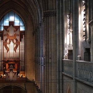 Blechbläserquartett der Dommusik Linz auf der Orgelempore der Rudigierorgel