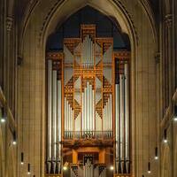 Rudigierorgel