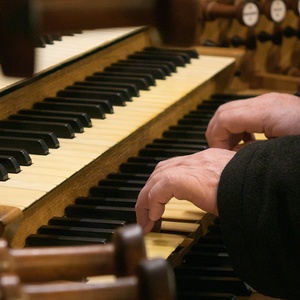 Domorganist Wolfgang Kreuzhuber an der Rudigierorgel