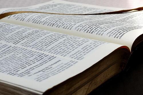 Bibel lesen
