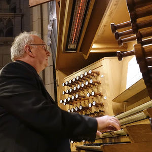 Domorganist Wolfgang Kreuzhuber an der Rudigierorgel