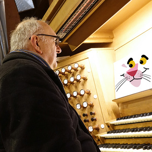 Domorganist Wolfgang Kreuzhuber an der Rudigierorgel mit Zaungast