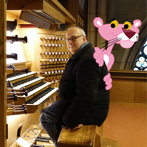 Domorganist Wolfgang Kreuzhuber an der Rudigierorgel mit Zaungast