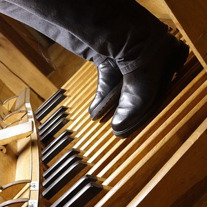 Domorganist Wolfgang Kreuzhuber an der Rudigierorgel