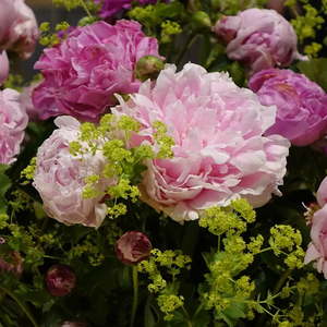 Blumenschmuck im Mariendom Linz