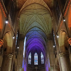 Farbenspiel im Mariendom Linz