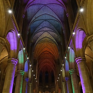 Buntes FARBENSPIEL im Mariendom Linz