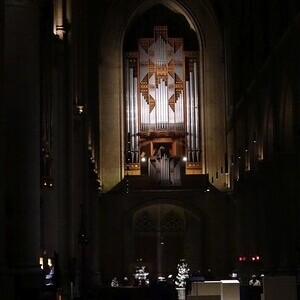 Blick zur Rudigierorgel