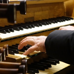 Domorganist Wolfgang Kreuzhuber an der Rudigierorgel