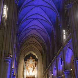 Mariendom Linz in blaues Licht gehüllt