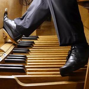 Domorganist Wolfgang Kreuzhuber an der Rudigierorgel