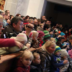 Martinsfest 2014