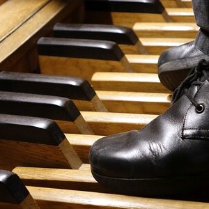Domorganist Wolfgang Kreuzhuber an der Rudigierorgel
